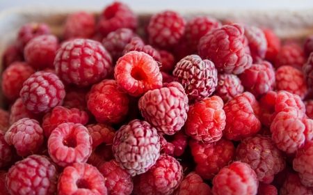 raspberries-917664_640