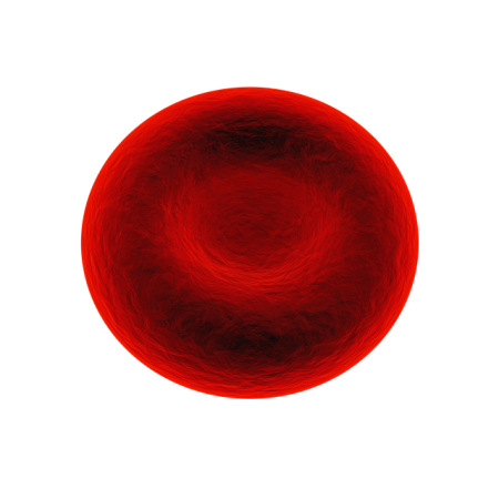 red-blood-cell-1861640_640