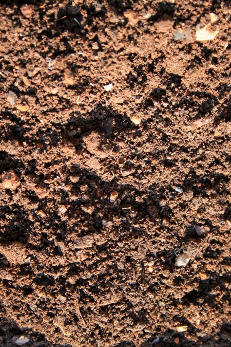 sandy-soil