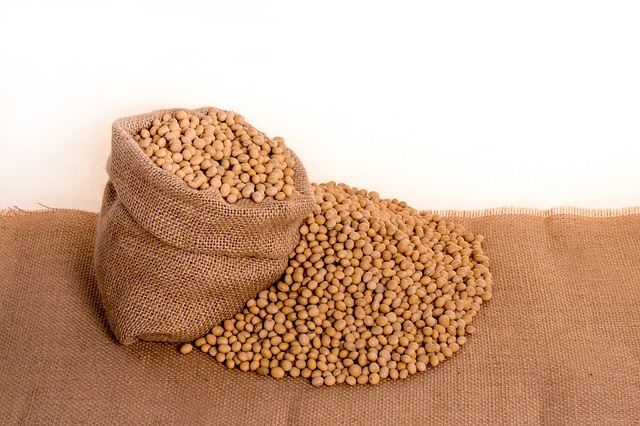 soybeans-2039637_640