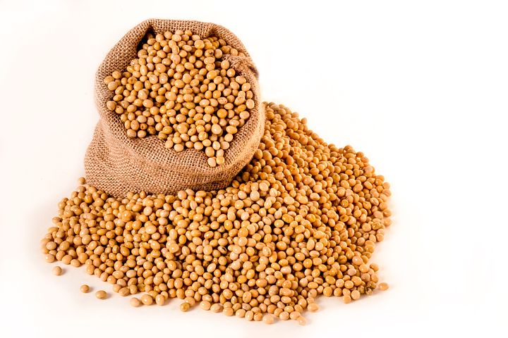 soybeans-2039641__480