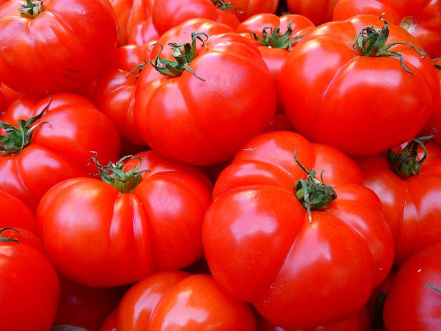 tomatoes-5356__480-1