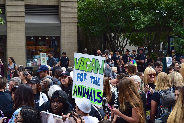 veganfor-animals