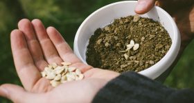 種子法、農薬問題…それでもあなたは「安さ」で選びますか?|オーガニック食品は高価ではないその理由